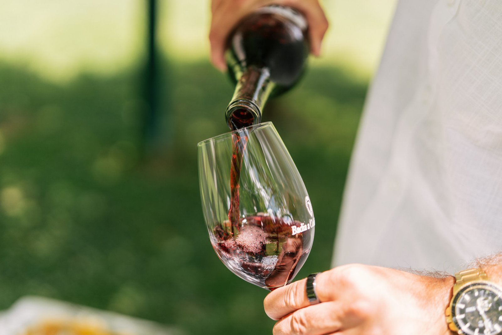 Final toast after proposal in Chianti Italy